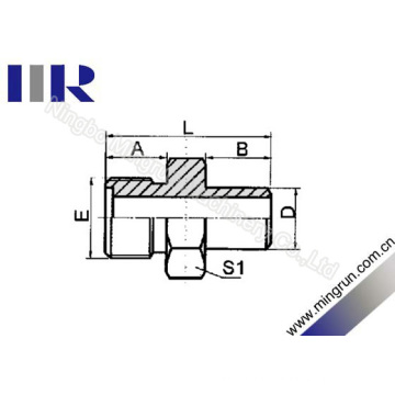 Metric Male O-Ring / Butt-Weld Tube Fitting (1EW)